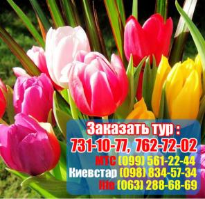 Парад тюльпанов из Белгорода 2013 всего за 2000руб!!! Экскурсия+ж/д
