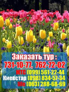 Парад тюльпанов из Белгорода 2013 всего за 2000руб!!! Экскурсия+ж/д