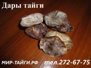 Продам желчь медвeдя, медвежий жир