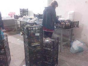 продам готовый бизнес