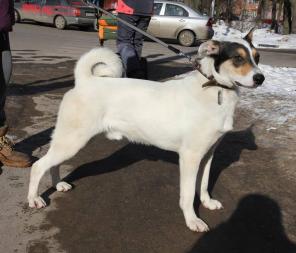 Макс. 9 месяцев в дар!