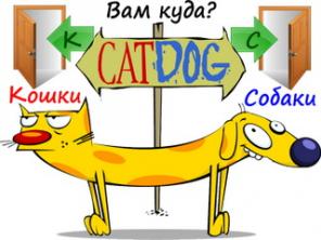 Гостиница для животных, кошек и собак в ближайшем Подмосковье