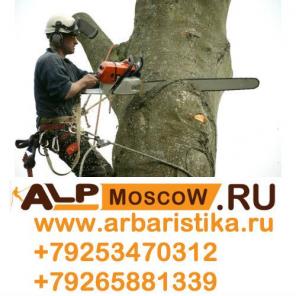 ������� ��������, ���� ������, ������������, ���������� ����.