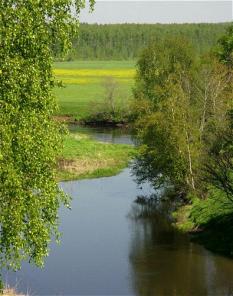 Земельный массив с реками,лугами,лесами. Выгодно.