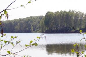 Земельные участки в Подмосковье от 8 до 22 соток