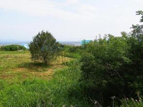 Продам участок 60с. ИЖС у моря (Владивосток - Шамора)