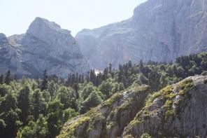 Конные прогулки походы в горы. Сплавы по рекам Башкирии