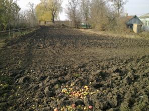 ПРОДАМ ДОМ В СТАВРОПОЛЬСКОМ КРАЕ