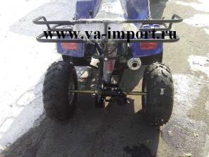 Квадроцикл Honda Polaris Dio