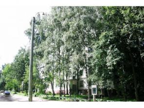 ��������� 1-� ��������, ��.�����������, �. 95, �.����������