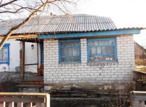 Добротный кирпичный дом с участком 39 соток в с. Доброе Добровского района Липецкой области