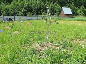 Продаю дачу в дер. Могутово (16 соток). Киевское шоссе