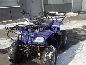 Квадроцикл Honda Polaris Dio