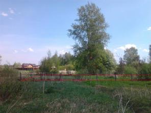 ������ ���. ��. 15 �����, ���, � �. �������