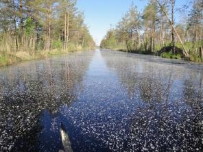 100 соток под личную усадьбу