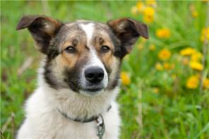 ������-������� - ������� ��� ���� ���.