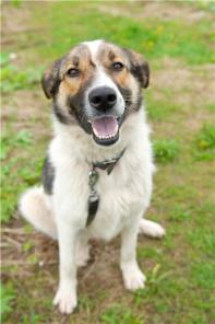 ������-������� - ������� ��� ���� ���.