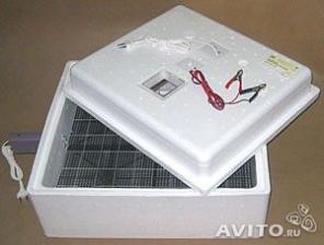 Инкубатор с автоматическим переворотом яиц