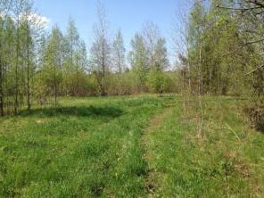 Продажа земельного участка у "Коркинского озера"