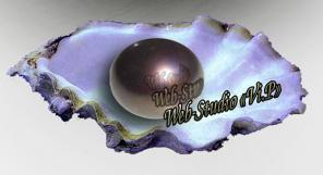 Web-studio “Vi.P”