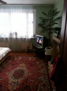  2- . ., 55 ., . 