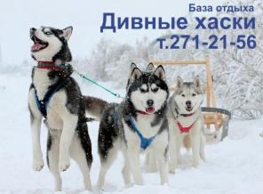 Катание на собачьей упряжке в Красноярске