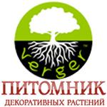 Саженцы оптом и в розницу из питомника растений Вергер