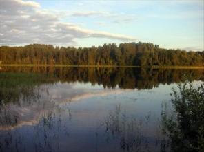 17 га Валдайский р-н, д. Савкино, оз. Городинское