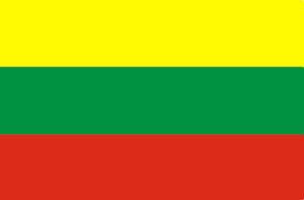 Bид на жительство в литве (внж)