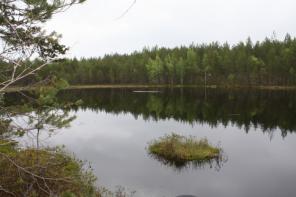Рыбалка на озере Saunalampi в Финляндии.