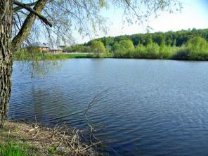 Продаю дом, Можайский, Красное Село, Санкт-Петербург