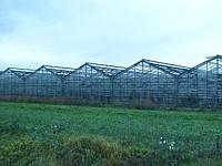 Продам каркасы теплиц бу