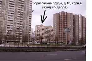 Фотография