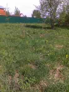 Продаю 2 соседних земельных участка Новорижское ш