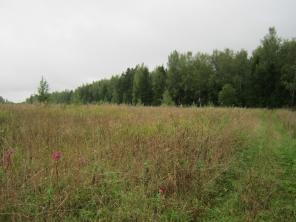 Продаю участок рядом с дер.Повадино, с возможностью ПМЖ. В 43 км. От МКАД
