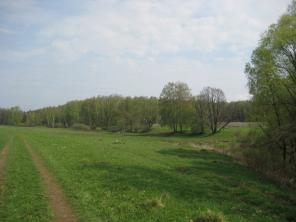 Участок в поселке «Чеховские сосны», около дер. Бершово