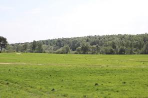 Участок в 90км. по Минскому шоссе