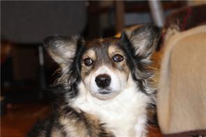 ������ - ��������� ������ 4 ����, � ������� ����.