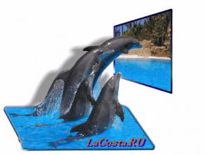 Isabel tenerife испания от LaCosta RU