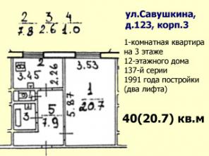 1-комнатная квартира 40м на Савушкина продается
