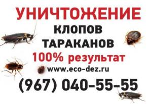 Уничтожение клопов .