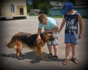 Искорка в дар