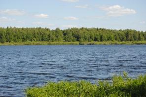 Земельные участки по Горьковскому шоссе