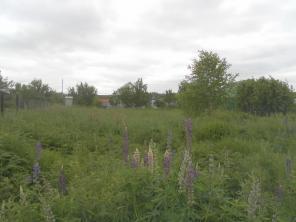 Продается участок 6 соток в СНТ Ланщино на берегу р. Ока