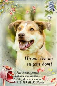 ���� ����� ���� ���