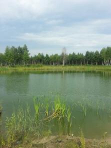 Продается участок Раменский р-н 3-7 га
