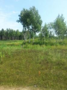 Продается участок Раменский р-н 3-7 га