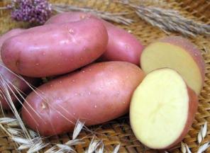 Продам картофель, свекла, морковь, лук