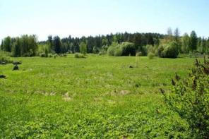 Продажа земельных участок в поселке Ханнила