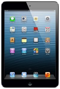 Ipad mini 16 10000      